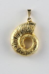 pendant ammonite gold plate